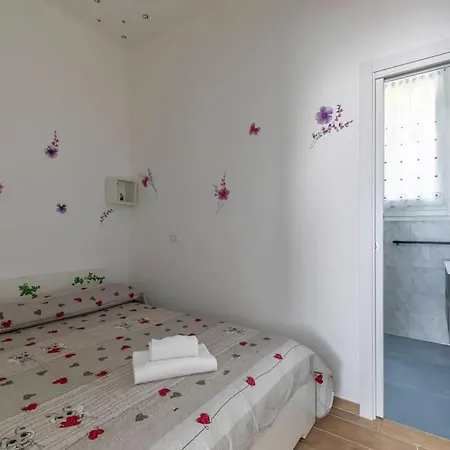 Ca' Dandy Large By Welchome