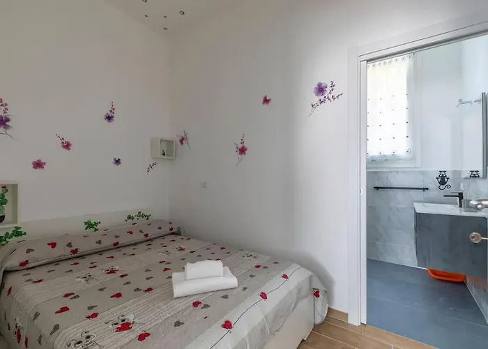 Ca' Dandy Large By Welchome